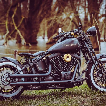 Thunderbike Harley Davidson Softail Black Widdow Shooting Custombike Foto Ben Ott 1