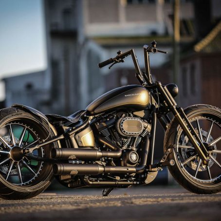Thunderbike Harley Davidson Softail Mitch Shooting Custombike Foto Ben Ott 7